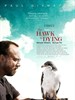 ӥΣ/The Hawk Is Dying(2006)