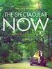 õ/The Spectacular Now(2013)